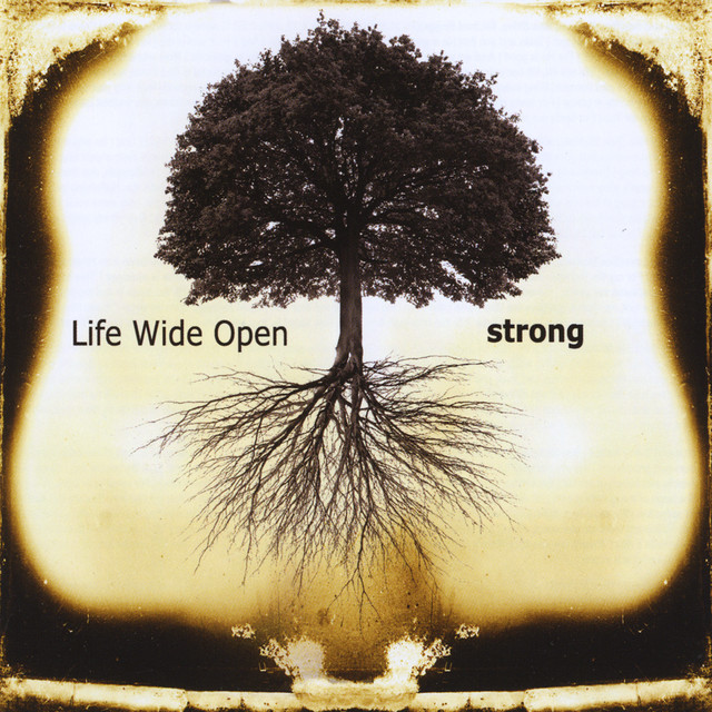 Widelife Photo
