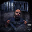 Another Sicko Day in the Hood cover
