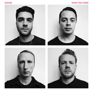 What You Need cover