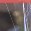 Pianos In The Wilderness Albumcover