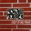Best of Carly Peran Albumcover