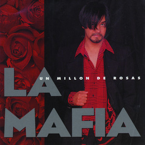 Un Millón De Rosas album