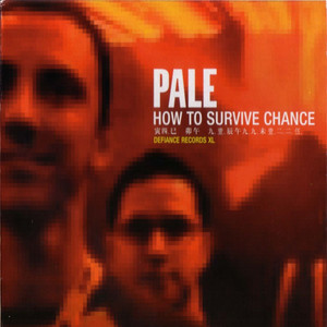 How to Survive Chance cover