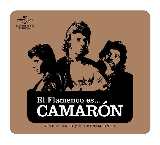 Flamenco Es... Camaron cover