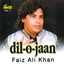 Dil-o-Jaan Vol. 7 - Qawwalies Albumcover