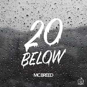 20 Below cover