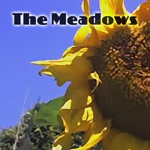 The Meadows