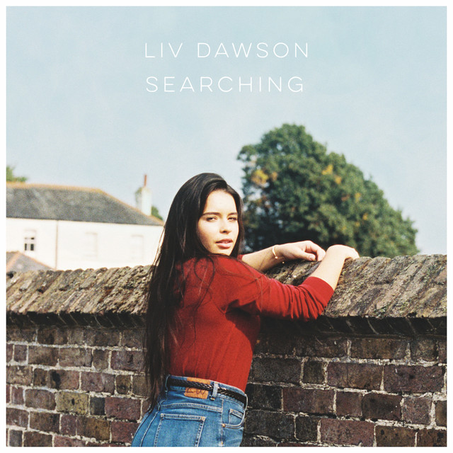Searching cover