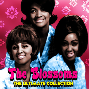 The Ultimate Collection cover