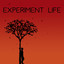Experiment Life Albumcover