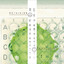 Devolution cover