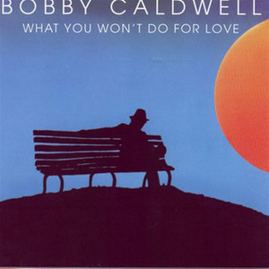 What You Won't Do For Love album