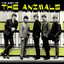 Most Of The Animals cover