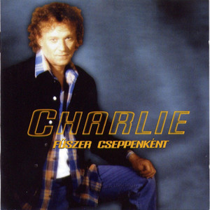 Fűszer cseppenként cover