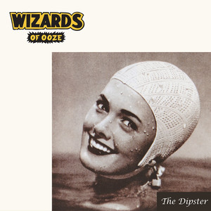 The Dipster cover