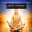 Guided Meditations Albumcover