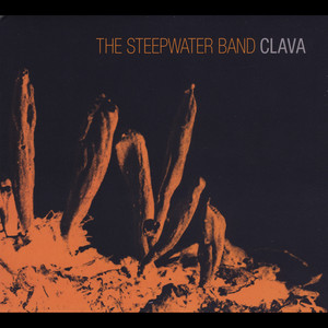 Clava cover