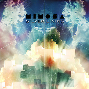 The Higher Consciousness cover