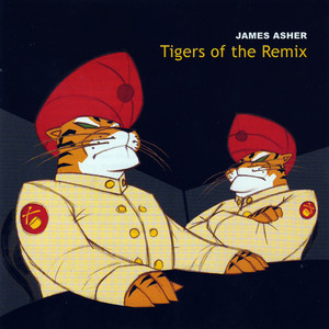 Tigers of the Remix cover