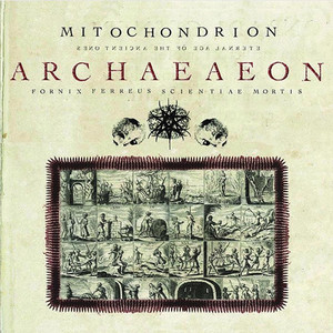 Chapter 11 cover