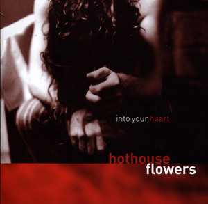 Into Your Heart cover