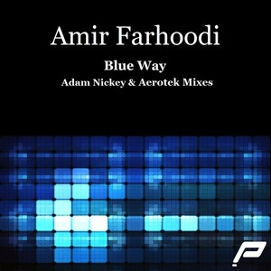 Amir Farhoodi