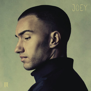 Joey cover