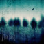 Halou cover