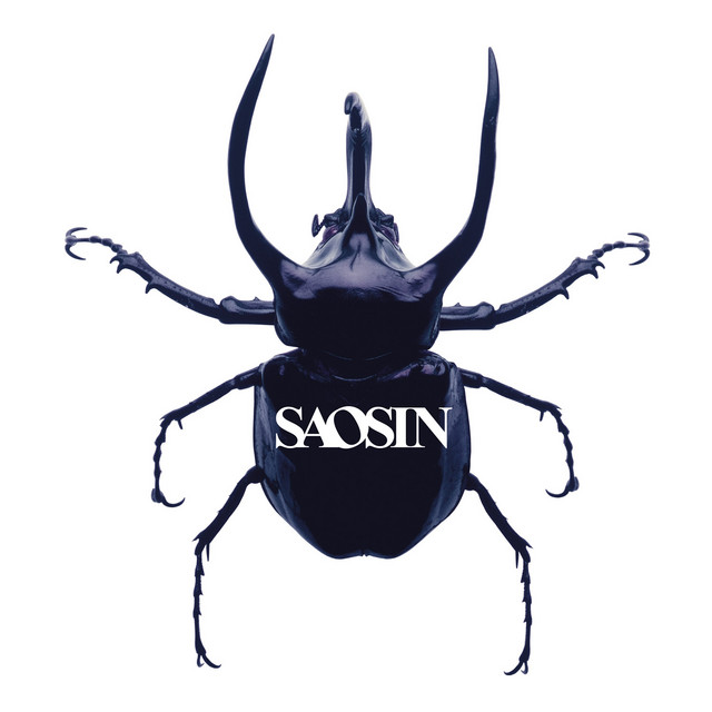 Saosin cover