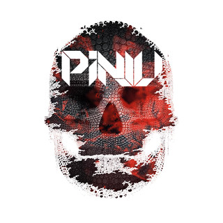 Pinju Photo