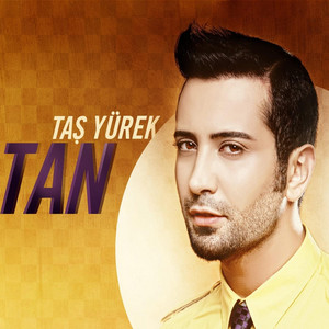 Taş Yürek cover