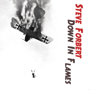 Down In Flames album