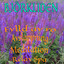Björkliden