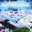 Electric Lizard Albumcover