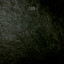 Just Us cover