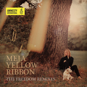 Yellow Ribbon (Freedom Remixes) cover