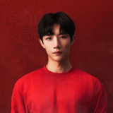 CORSAK profile
