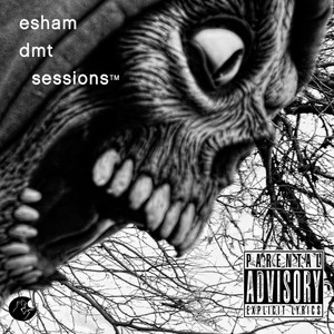 DMT Sessions album