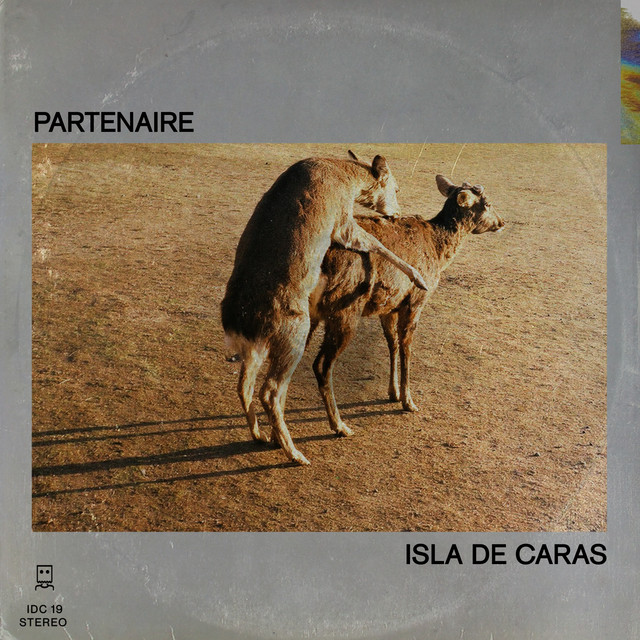 Partenaire cover