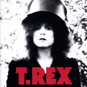 The Slider (Deluxe Edition) album