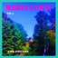 Meditation, Vol.2 Albumcover