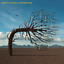 Opposites cover