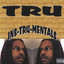 Ins-tru-mentals cover
