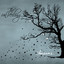 Seasons Albumcover