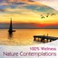 100% Wellness - Nature contemplations Albumcover