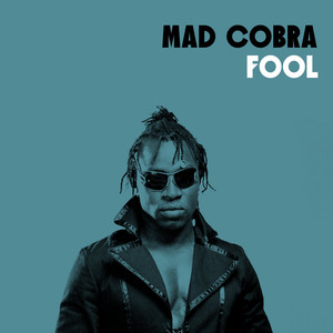 Fool album