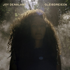 Gleisdreieck cover