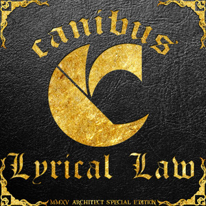 Lyrical Law cover