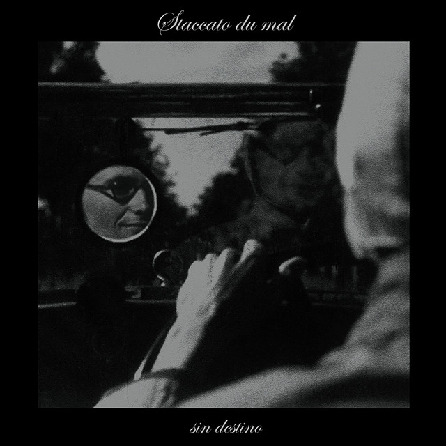 Staccato du Mal Photo