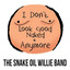 The Snake Oil Willie Band